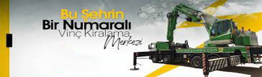 vinç kiralama vinç kiralama